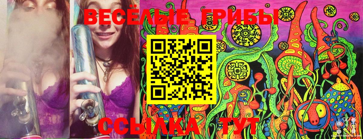 Галлюциногенные грибы Psilocybe  Вход с VPN  Заинск 