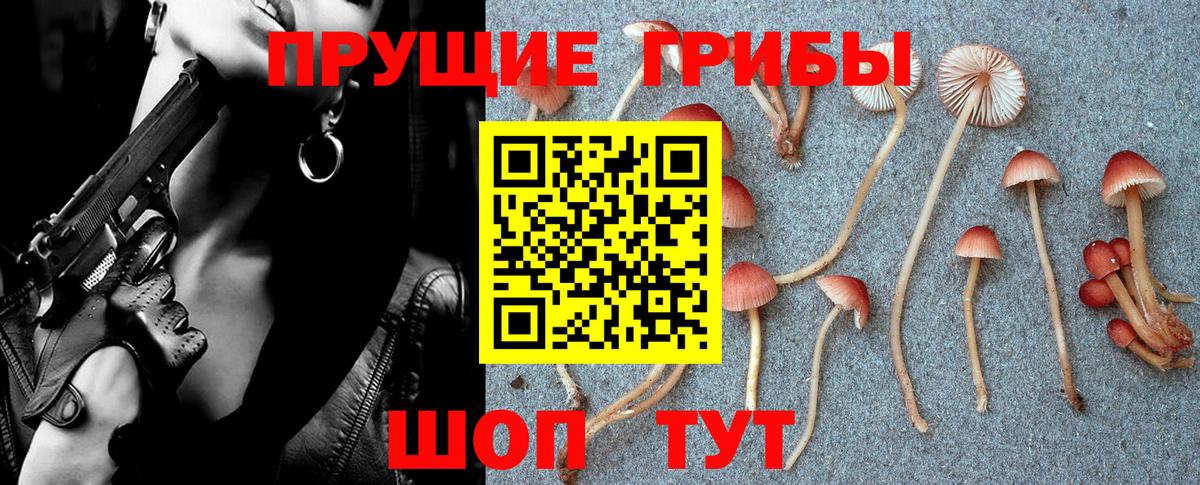 Псилоцибиновые грибы GOLDEN TEACHER Заинск